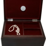 Luxury Sex Toy Guide 2009 toibocks2 150x150 Luxury Sex Toy Guide 2009